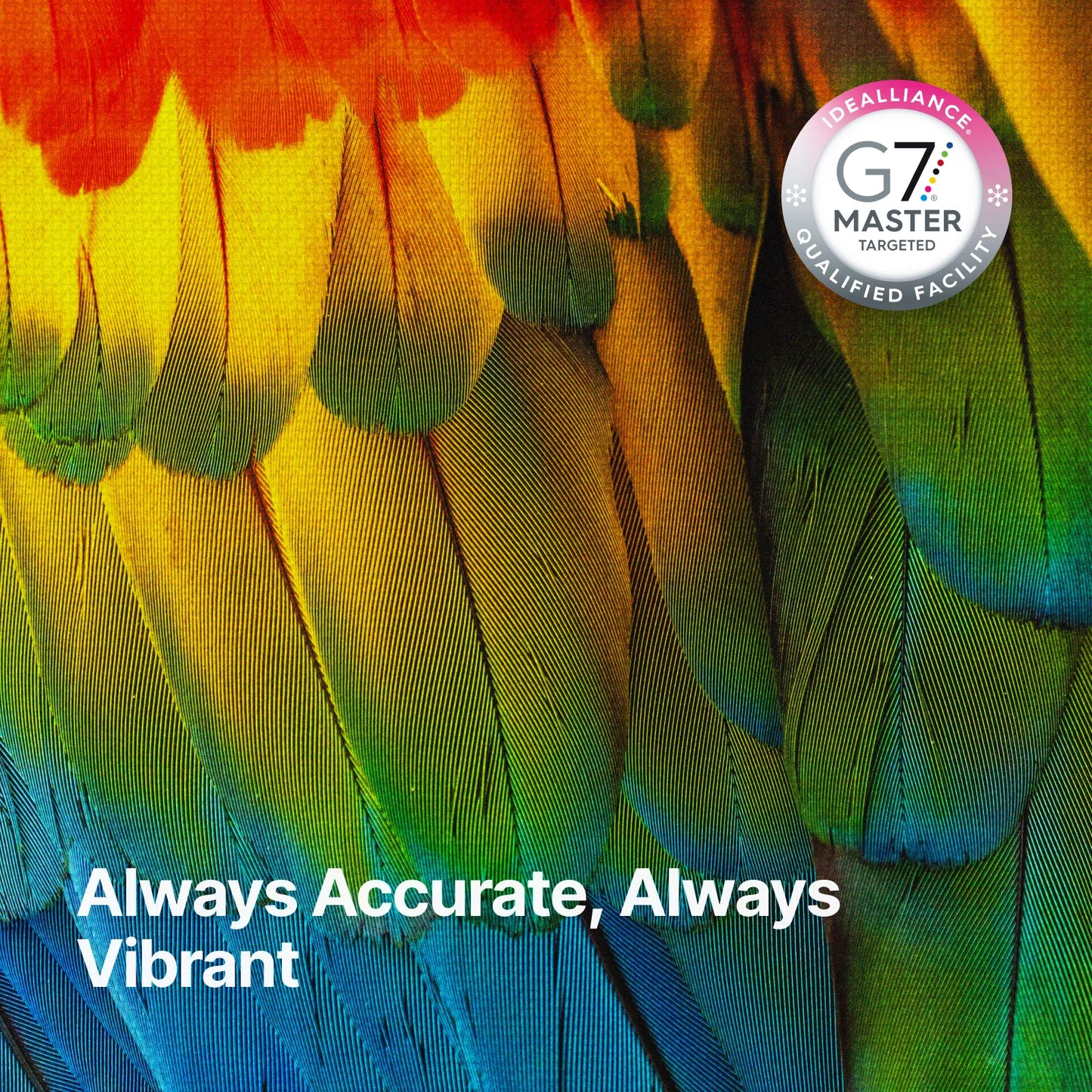 xTool Selected Apparel Printer Moisturizing Liquid (500ml)